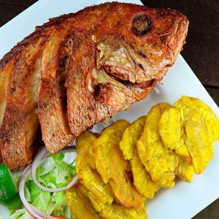 Savor Our Fresh Snapper